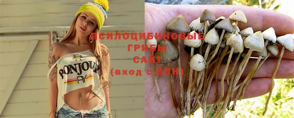 марки nbome Зерноград