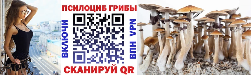Галлюциногенные грибы Cubensis где купить наркоту Моршанск