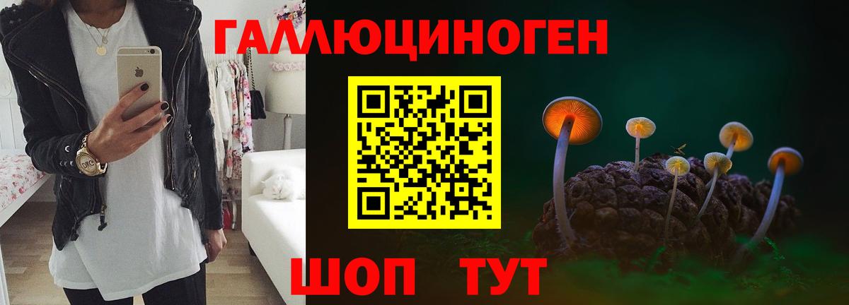 Псилоцибиновые грибы прущие грибы  Вход с VPN  Моршанск 